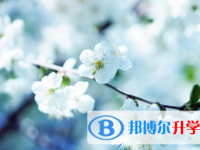 眉山2022年中考考號查詢