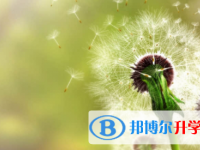 眉山2022年中考體育成績對照表