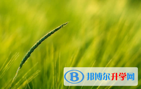 眉山2022年中考怎樣考出好成績