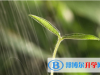 眉山2022年中考考試時間