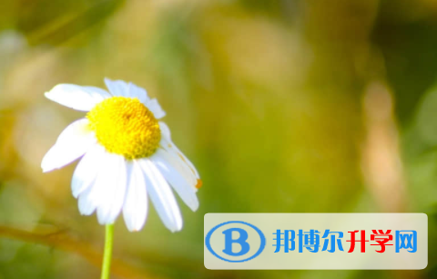 眉山2022年中考報(bào)考攻略