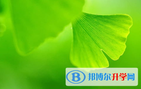 眉山2022年中考報(bào)考人數(shù)