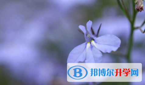 眉山2022年中考報名平臺