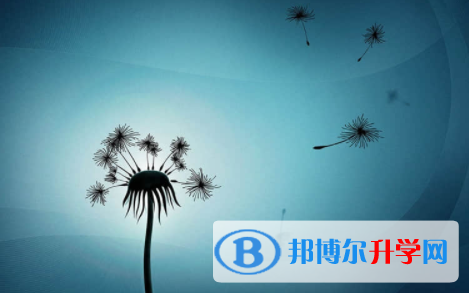 眉山2022年中考報名網