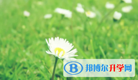 眉山2022年中考報(bào)名網(wǎng)站