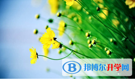 眉山2022年中考查詢系統的密碼記不到了怎么辦