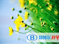 眉山2022年中考查詢系統的密碼記不到了怎么辦