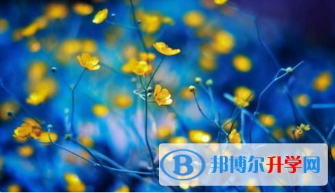 眉山2022年中考成績什么時候公布