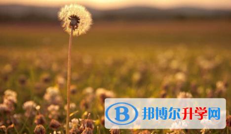 眉山2022年中考規則