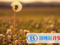 眉山2022年中考規則