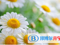 眉山2022年中考考點
