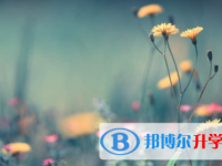 眉山2022年中考考點有哪幾個