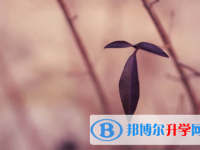 眉山2022年中考錄取報名網