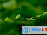 眉山2022年中考錄取結果