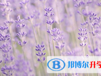 眉山2022年中考錄取時間