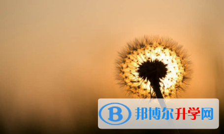 眉山2022年中考升學錄取比例