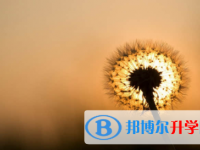眉山2022年中考升學錄取比例