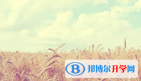 眉山2022年中考調招