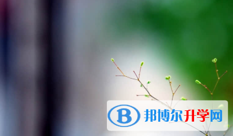 眉山2022年中考統考成績