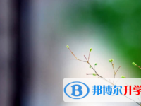 眉山2022年中考統考成績