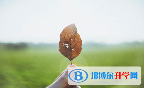 眉山2022年中考網報