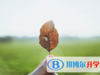 眉山2022年中考網報