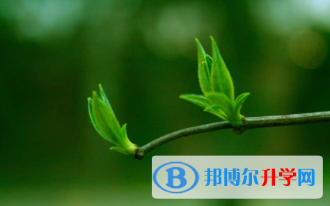 眉山2022年中考網錄取系統