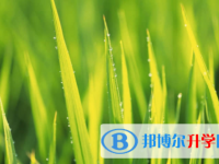 眉山2022年中考網絡登錄