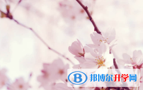 眉山2022年中考網絡服務應用平臺