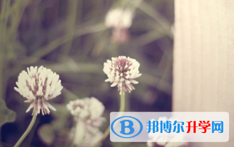 眉山2022年中考網絡平臺