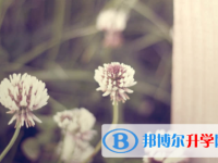 眉山2022年中考網絡平臺