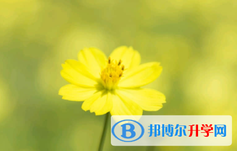 眉山2022年中考網絡應用服務平臺