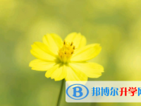 眉山2022年中考網絡應用服務平臺