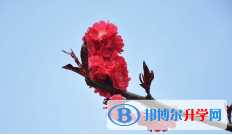 眉山2022年中考網上報名