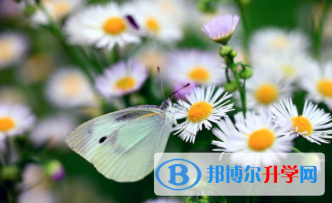 眉山2022年中考網上報名模擬