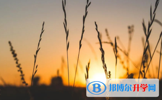 眉山2022年中考志愿如何填寫(xiě)