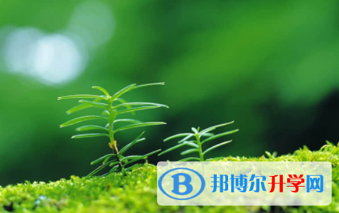 眉山2022年中考自主招生報名有哪些學校