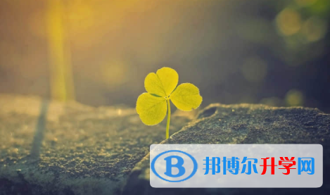 眉山2022年中考自主招生成績