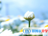 眉山2022年中考自主招生時間
