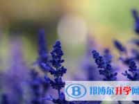 眉山2022年中考報考學(xué)校名單