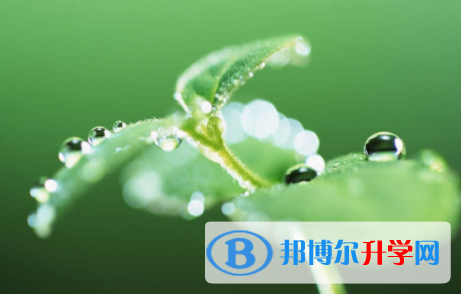 眉山2022年中考報名學校