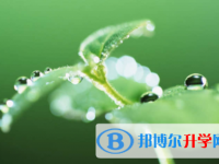 眉山2022年中考報名學(xué)校