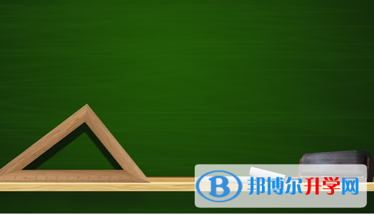眉山2022年中考體考標準