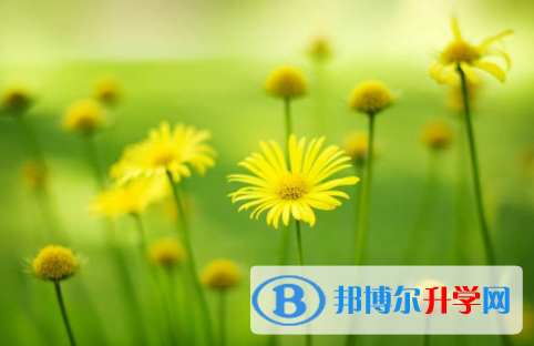 眉山2022年中考需要準備什么