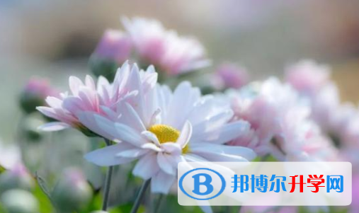 眉山2022年中考報(bào)名自薦信怎么寫