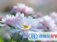 眉山2022年中考報名自薦信怎么寫