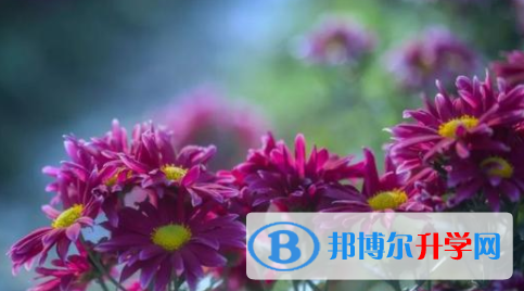 眉山2022年中考200多的哪些學校要