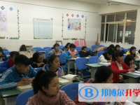 眉山2022年中考372可以讀的學校