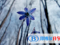 眉山2022年今年中考時間是幾號