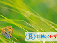 眉山2022年什么是中考調劑生